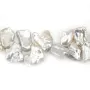 Perles d'eau Douce késhi bleu & violet 10.5x13.5mm x 1pc