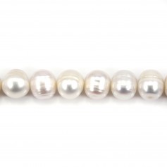 White round freshwater pearls on thread 11-12mm x 40cm