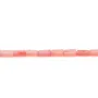 Bambou mer teinté orange Tube 2x4mm x 20pcs