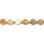 Corail fossilisé rond plat facetté 8mm x 38cm