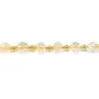 Olivgrüner facettierter Citrin 5x6mm x 38cm (48 Stück)