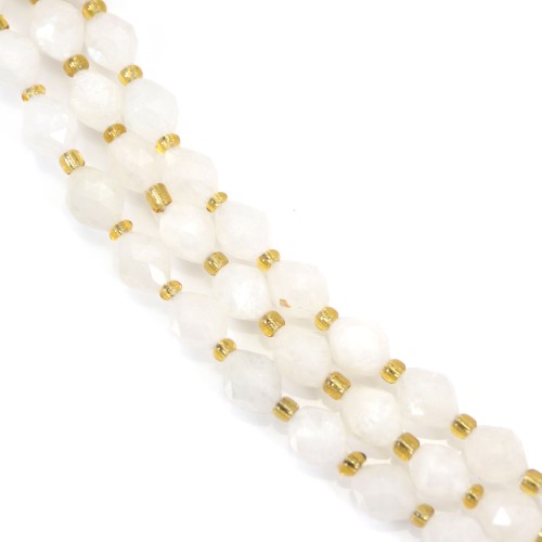 Mondstein facettiertes Oliven 5x6mm x 39cm (50 Stück)