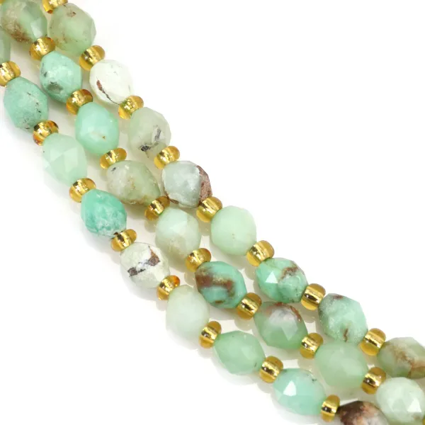 Olivgrüner facettierter Chrysopras 5x6mm x 38cm (49 Stück)