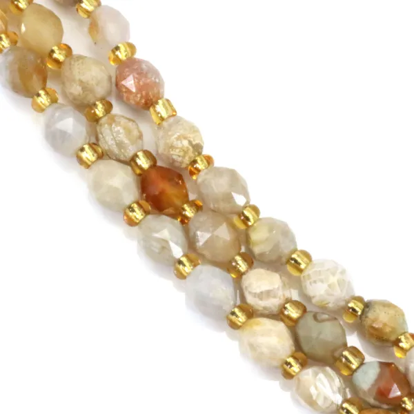 Coral fósil oliva facetado 5x6mm x 39cm (49uds)