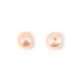 Pérolas de água doce, semi-perfuradas, salmão, botão, 4-4.5mm x 4 peças