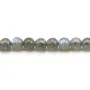 Labradorit Rund 6mm x 10 Stk.