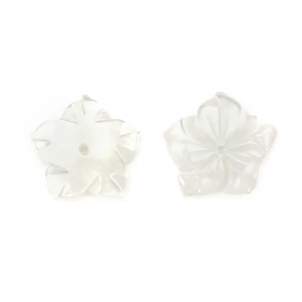 White mother-of-pearl 15mm in Flower of 5 Leaves x 1pc