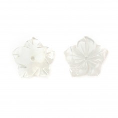 White mother-of-pearl 15mm in Flower of 5 Leaves x 1pc