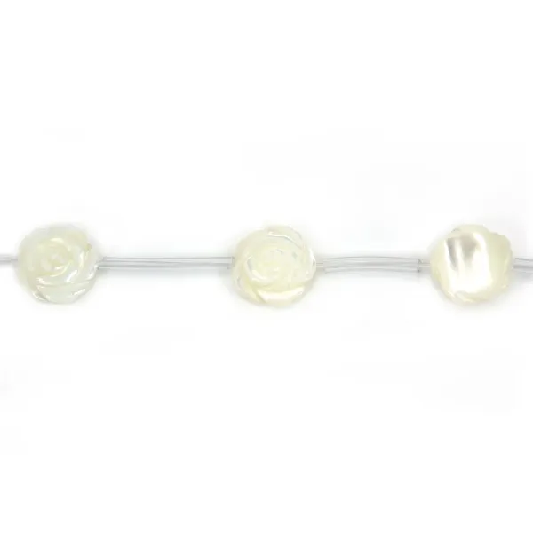 Rosa blanca de nácar en alambre 12mm x 40cm (15pcs)