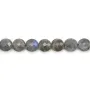 Labradorite ronde plate facette 8mm x 39cm