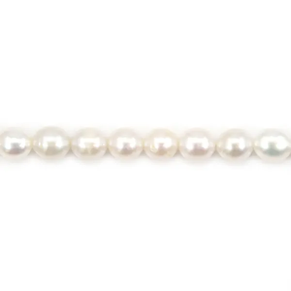 Perla di acqua dolce, bianca, oliva, 4.5-5mm x 36cm