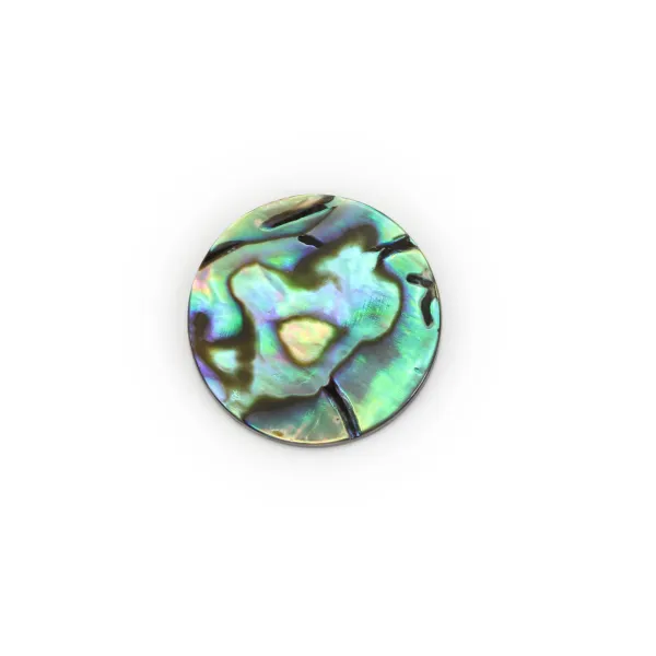 Flat round Abalone cabochon 20mm x 1pc