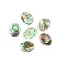Cabochon Abalone ovale plat 13x18mm x 1pc