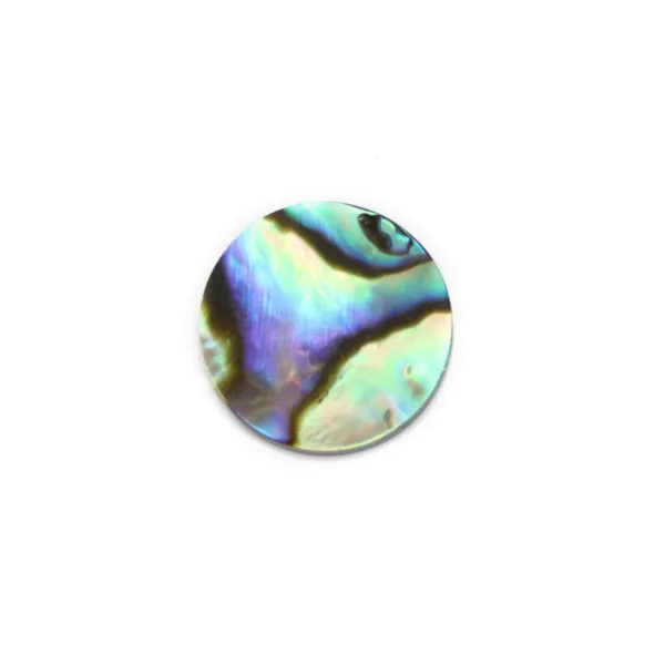 Flat round Abalone cabochon 12mm x 1pc