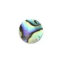 Cabochon Abalone tondo piatto 12mm x 1pz