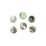 Cabochão de Abalone redondo plano 6mm x 1 peça