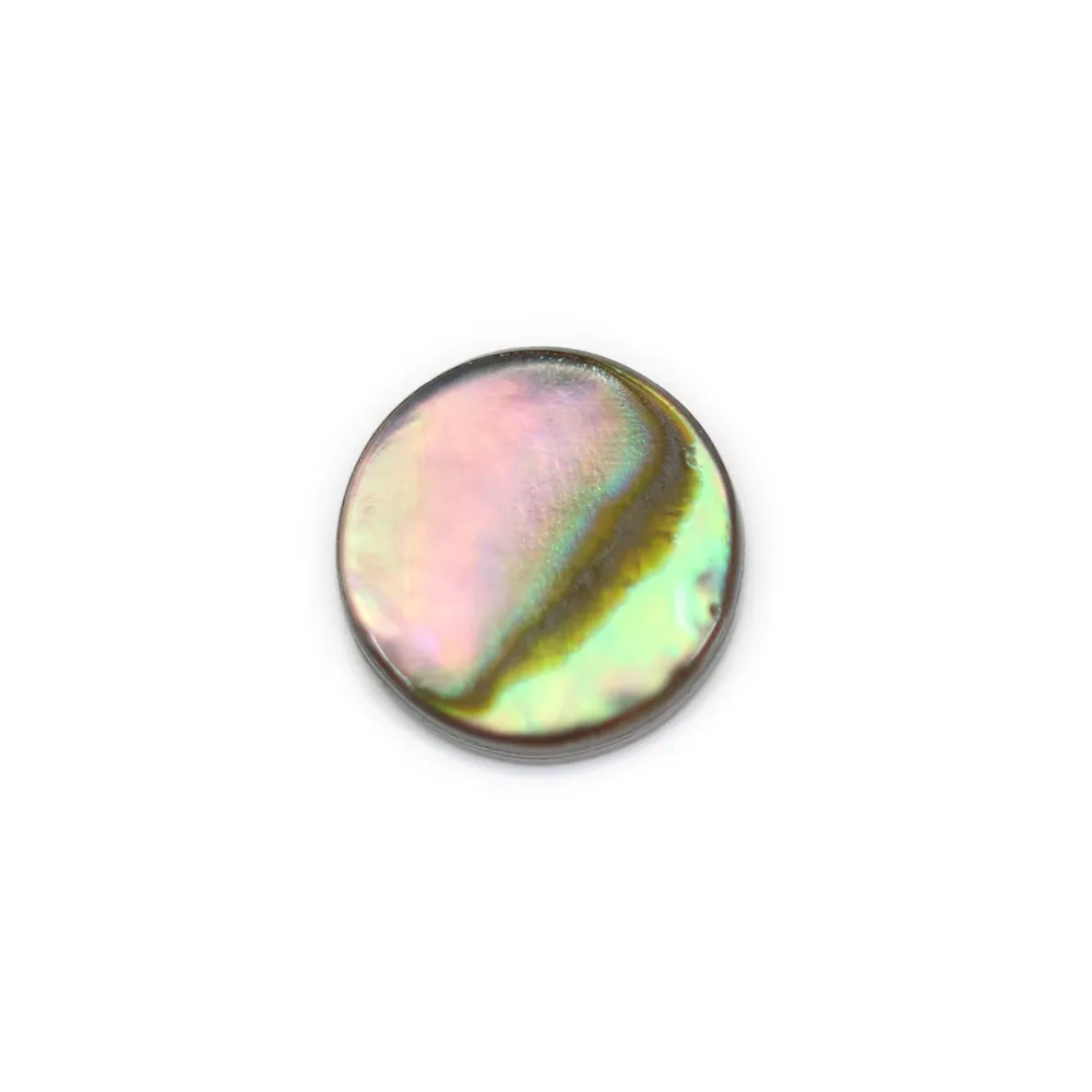 Cabochon Abalone tondo piatto 6mm x 1pz