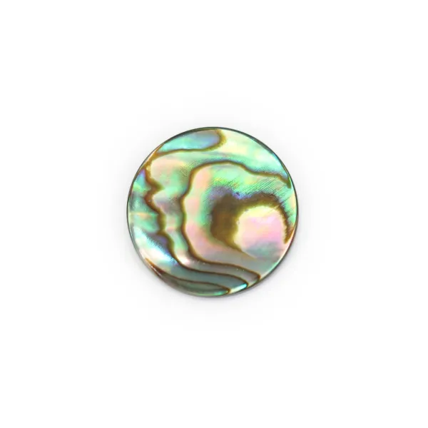 Flat round Abalone cabochon 10mm x 1pc