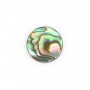 Cabochão Abalone redondo plano 10mm x 1 peça