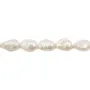 Perlas de agua dulce cultivadas, blancas, barrocas, 13-14mm x 40cm