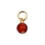 Breloque Agate rouge rond 4mm - Gold Filled x 1pc