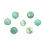 Cabochon di crisoprasio, forma rotonda, 10mm x 1 pezzo