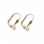 Sleeper earrings with raw brass fleur-de-lis 12x16mm x 10pcs