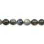 Labradorite tonda 12mm x 40cm