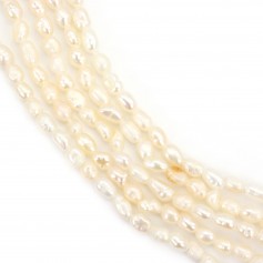 Freshwater salmon oval pearl 1.5-2mm x 39cm