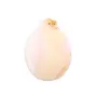 Pingente Lambi rosa esculpido menina 24x32mm x 1 unidade