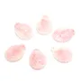 Carved pink conch shell pendant 24x32mm x 1pc