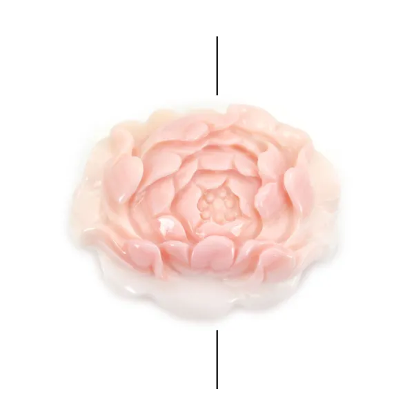 Lambi rosa flor esculpida 30x40mm x 1 ud.