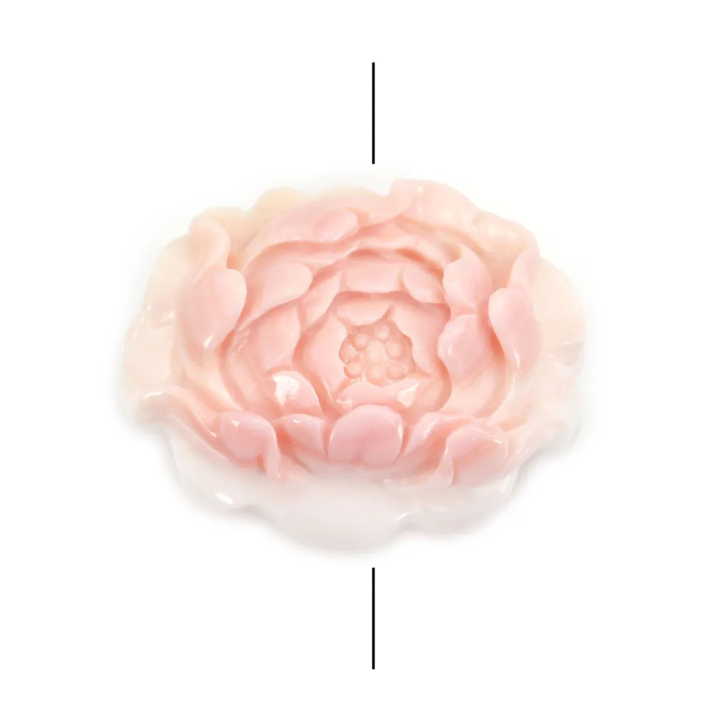 Lambi rosa esculpida em flor 30x40mm x 1 unidade