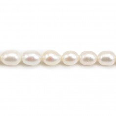 Freshwater cultured pearl, white, olive, 6-7mm x 38cm