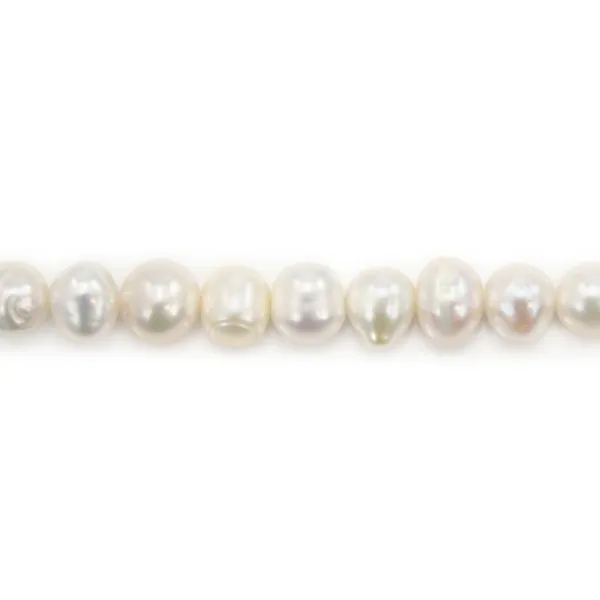 Perla de agua dulce, blanca, semi-redonda, 7-7.5mm x 39cm