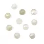 Cabochon moonstone round 10mm x 1pc