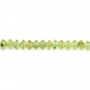 Peridot Rondelle Facettiertes Rondell 2x3mm auf Draht 39cm