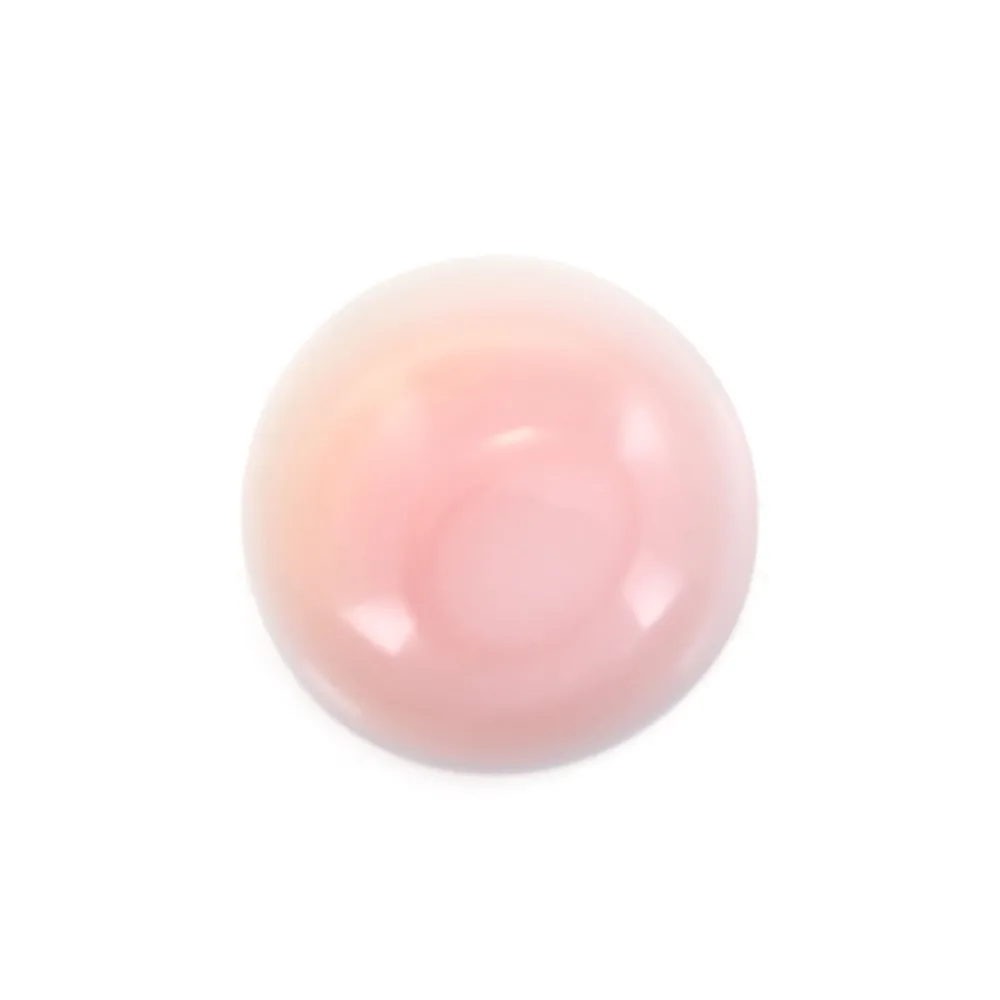 Cabujón de Concha de Lambi rosa redondo de 16mm x 1 pieza