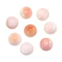Cabujón de Concha de Lambi rosa redondo de 16mm x 1 pieza