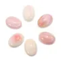 Cabochon Lambi rose ovale 12x16mm x 1pc