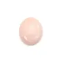 Camafeu Lambi rosa oval 10x12mm x 1 unidade