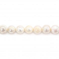 Freshwater cultured pearls, white, oval/irregular, 11-13mm x 37cm