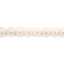 Freshwater cultured pearls, white, round, 8-9mm x 40cm