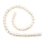 Freshwater cultured pearls, white, round, 8-9mm x 40cm