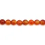 Cornalina Redonda 10mm x 40cm