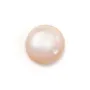 Cabochon Nacre rose rond 4mm x 2pcs