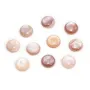 Cabochão de Madrepérola rosa redondo 12mm x 1 peça