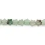 Aventurine étoile 6mm x 37cm