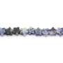 Jaspe mancha azul estrella 6mm x 38cm