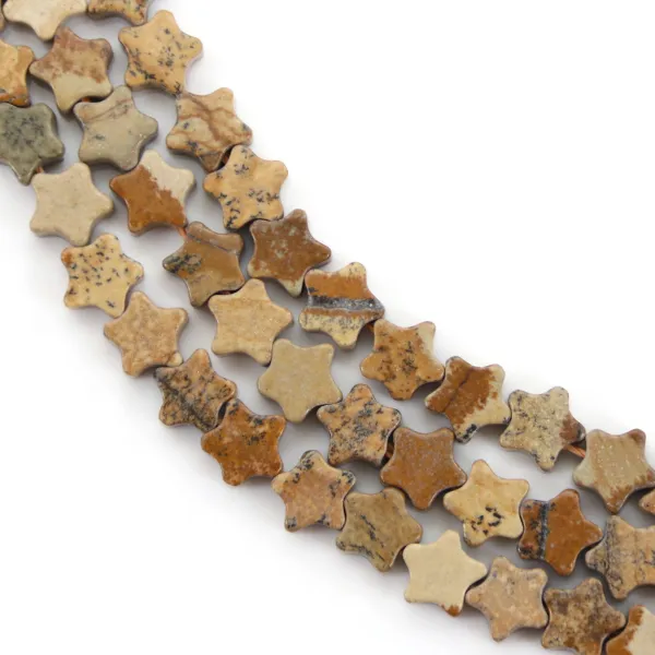 Jasper Landscape star 6mm x 37cm
